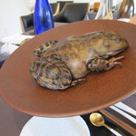 プレゼンテ スギ - 印旛沼産ウシガエル