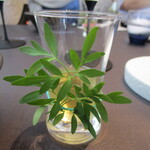 プレゼンテ スギ - 