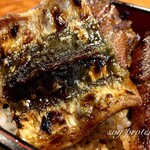 Sumibiyaki Unagi Higashiyama Bussan - 