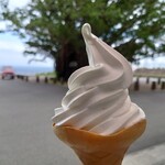 Satamisaki Kouen Kankou Annaijo - 2022年5月　地元産塩ソフトクリーム　400円