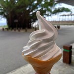 佐多岬公園観光案内所 - 2022年5月　地元産塩ソフトクリーム　400円