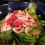 うなぎ屋酒坊・画荘 越後屋 - 25年4月　桜海老のサラダ