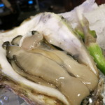 うなぎ屋酒坊・画荘 越後屋 - 25年4月　大分岩牡蠣