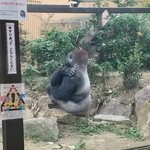 Daiyasu - 動物園も近い！