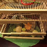 妙見石原荘 食菜石蔵 - 