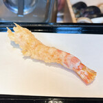 天ぷら 福たろう - 車海老