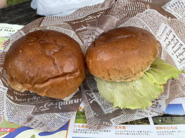 彩のやかた（イロドリノヤカヤ） - 蔵王町その他（ソフトクリーム）の写真