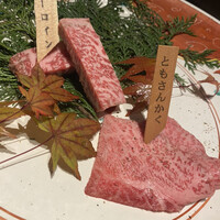 尾崎牛焼肉 銀座 ひむか - 