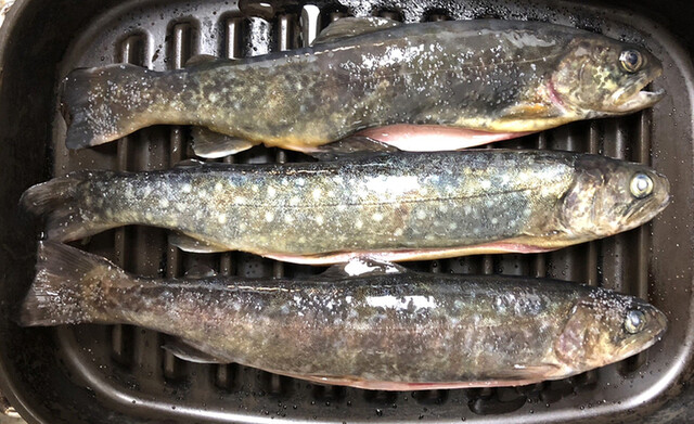 野口商店 - 栗原市その他（その他）の写真