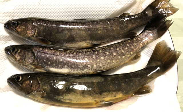 野口商店 - 栗原市その他（その他）の写真