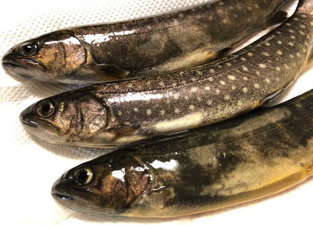 野口商店 - 栗原市その他（その他）の写真