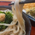 Teuchi Udon Tajima - 