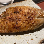 蛤坂 まえかわ - 