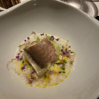 レフェルヴェソンス - 