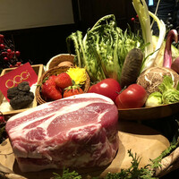 オッジ ダルマット 西麻布店 - 