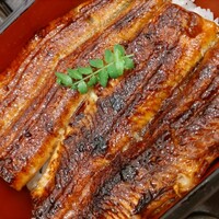 日本料理 うなぎ 松前 - 