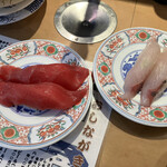 廻鮮寿司 塩釜港 - 本マグロ かんぱち