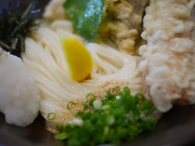 Honkaku Teuchi-Udon Taiga photo