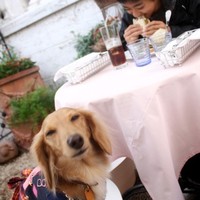 表参道バンブー - 