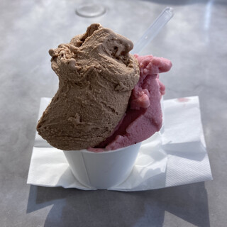 南紀白浜オリーブ&ジェラート工房_0