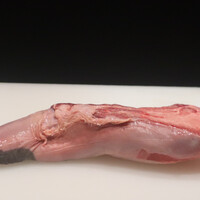 肉割烹 岡田前 - 