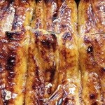 うなぎ金箱 - 鰻　ドアップで