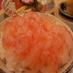 日本料理 蘭 - これが、甘エビ丼！