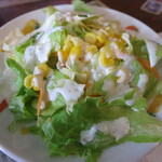 トルコ料理レストラン DENIZ デニズ - セットのサラダ