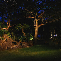HANARE - 