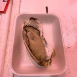 みなみ - 真ガキ￥400