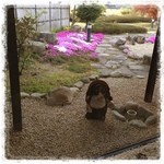 信州ふるさとの宿 望岳荘 - たぬきと芝桜