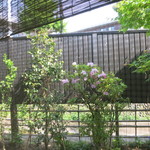 土家 - 25年4月　お庭