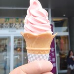道の駅 とうま - ソフトクリーム すいか味④