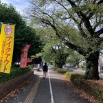 カレーの店 マボロシ - 中央一丁目交差点を越えた先の並木道（マスキング修正済み）