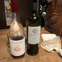 biodinamico - 