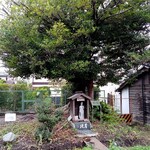 古民家 やまから - 