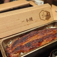 うなぎ四代目菊川 ヒルトンプラザウエスト大阪店 - 