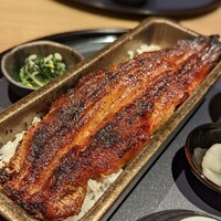 うなぎ四代目菊川 ヒルトンプラザウエスト大阪店 - 