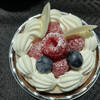 bloom - 