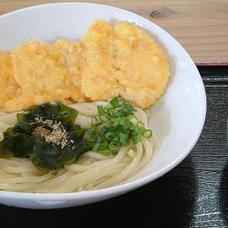 氷川うどん_0