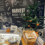 HARVEST NAGAI FARM - 