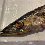 186589393 - 秋刀魚の塩焼き438円