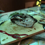 アントシカダ - 