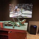 アントシカダ - 