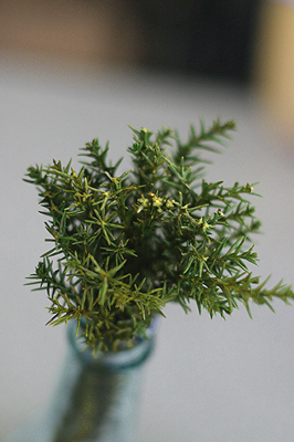 山辺温泉保養センター - 羽前山辺（丼）の写真