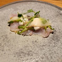 センティウ - 