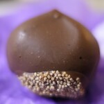 菓匠花見 - 料理写真:（2022/8月）白鷺宝