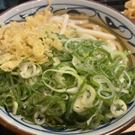 丸亀製麺 - かけ 大 460円