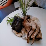 プレゼンテ スギ - 