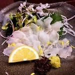 酒肴商店 アジト - 活〆穴子のお造り